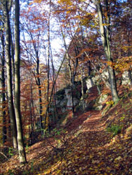 Trail